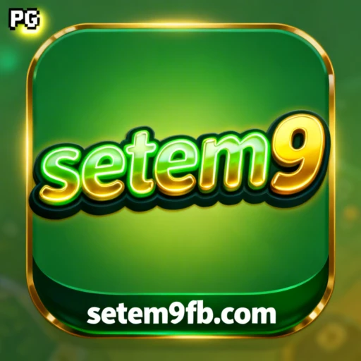 setem9 Logo